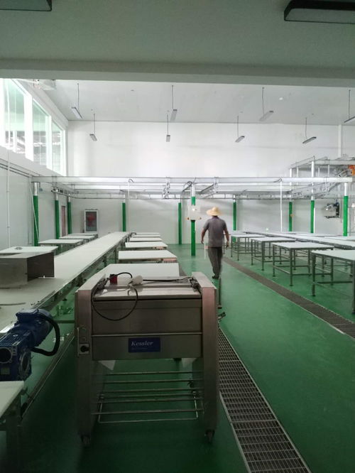 凱斯樂屠宰設(shè)備與肉類深加工設(shè)備成功落戶云南某廠，全面進入安裝調(diào)試階段