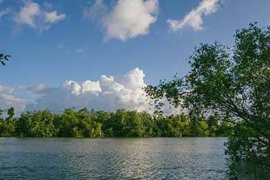 夢幻西游發布網新開服