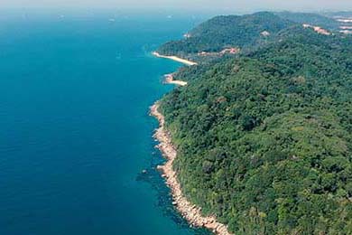 夢幻西游新開sf