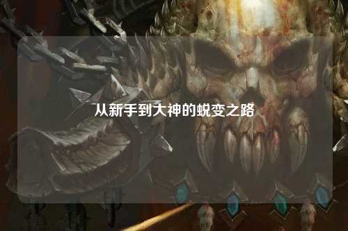 從新手到大神的蛻變之路