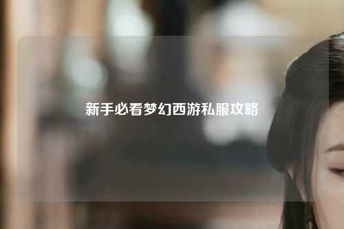 新手必看夢幻西游私服攻略