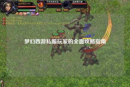 夢幻西游私服玩家的全面攻略指南