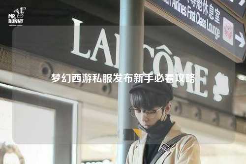 夢幻西游私服發布新手必看攻略