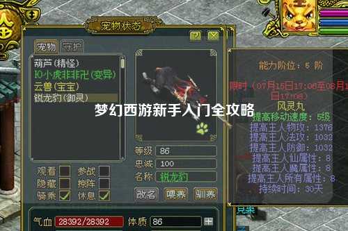 夢幻西游新手入門全攻略