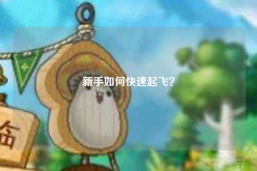 新手如何快速起飛？
