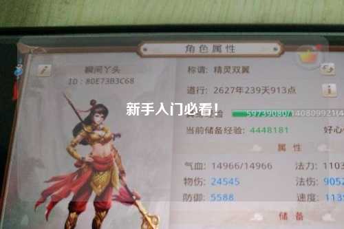 新手入門必看！