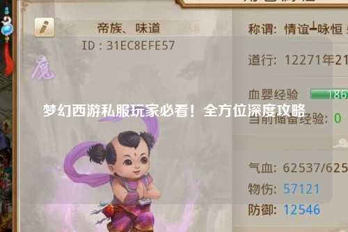 夢幻西游私服玩家必看！全方位深度攻略