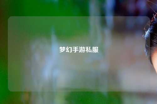夢(mèng)幻手游私服