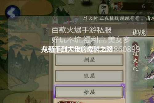 從新手到大佬的成長(zhǎng)之路