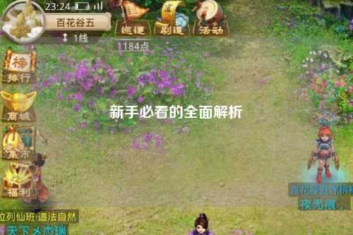 新手必看的全面解析