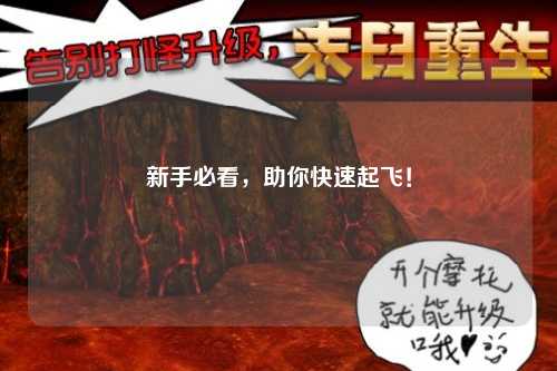 新手必看，助你快速起飛！