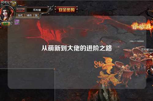 從萌新到大佬的進階之路