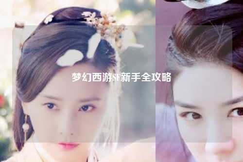 夢幻西游SF新手全攻略