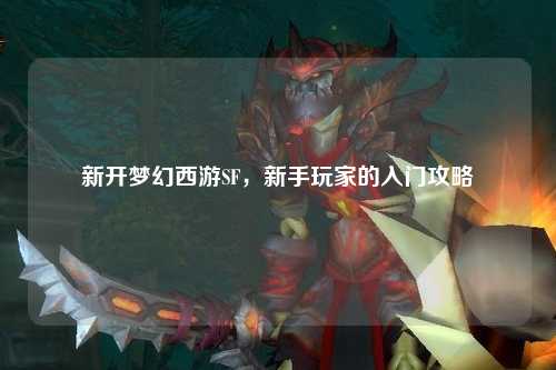 新開(kāi)夢(mèng)幻西游SF，新手玩家的入門攻略
