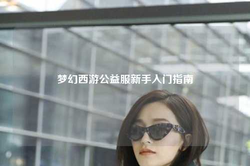 夢幻西游公益服新手入門指南