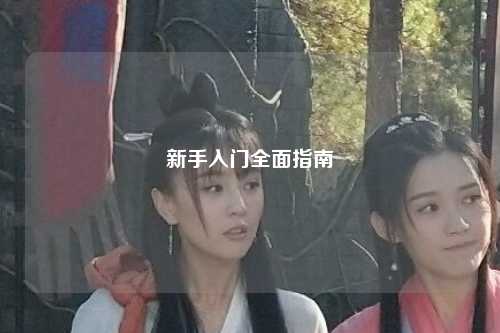 新手入門全面指南