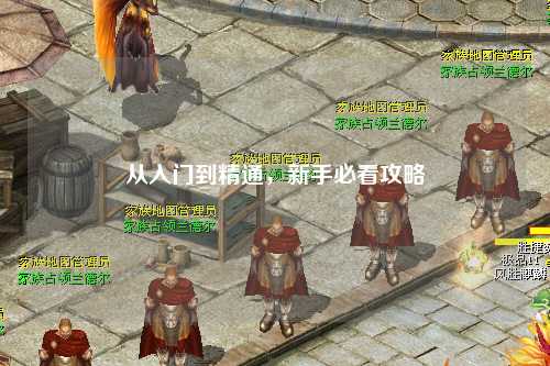 從入門到精通，新手必看攻略