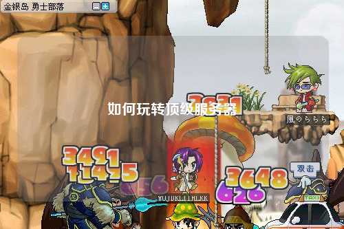 如何玩轉(zhuǎn)頂級服務(wù)器