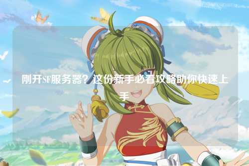 剛開SF服務(wù)器?這份新手必看攻略助你快速上手