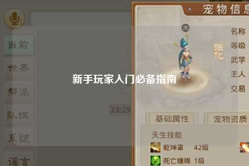 新手玩家入門必備指南