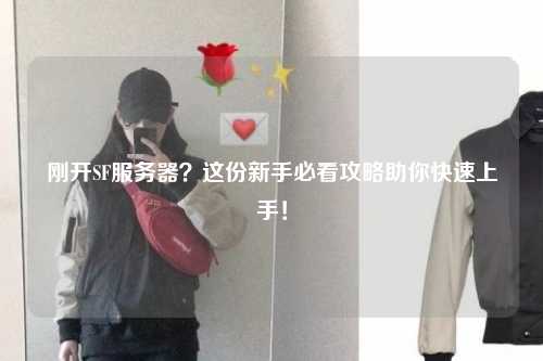 剛開SF服務器?這份新手必看攻略助你快速上手!
