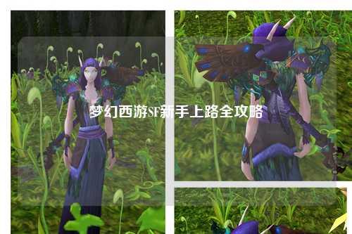 夢(mèng)幻西游SF新手上路全攻略