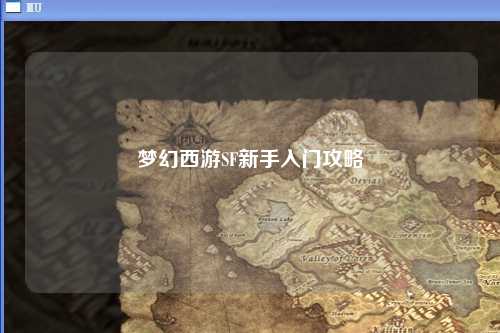 夢幻西游SF新手入門攻略