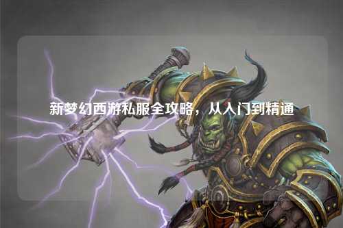 新夢(mèng)幻西游私服全攻略，從入門到精通