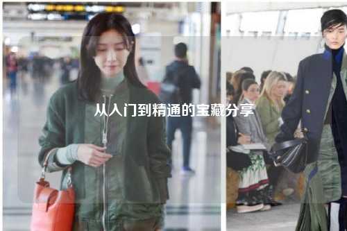 從入門到精通的寶藏分享