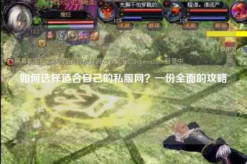 如何選擇適合自己的私服網？一份全面的攻略