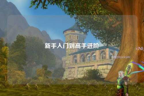 新手入門到高手進階