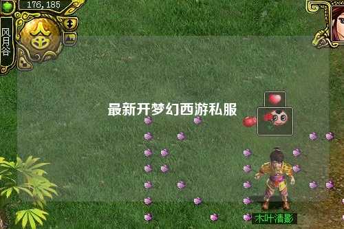 最新開夢幻西游私服