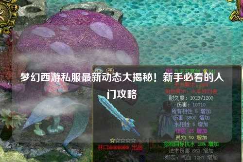 夢幻西游私服最新動態(tài)大揭秘!新手必看的入門攻略