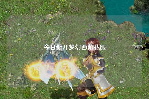 今日新開夢幻西游私服