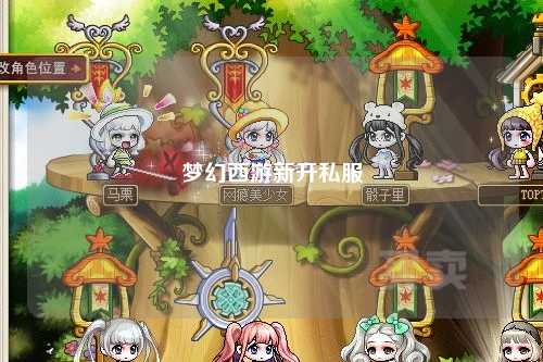 夢(mèng)幻西游新開(kāi)私服
