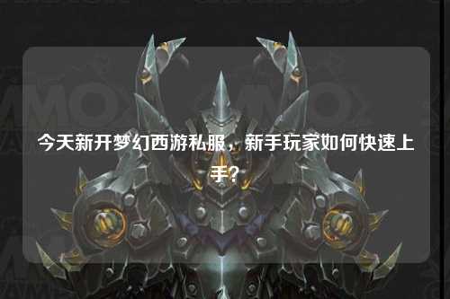 今天新開夢幻西游私服，新手玩家如何快速上手？