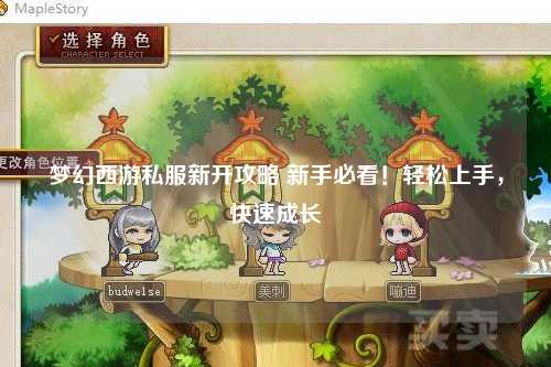 夢幻西游私服新開攻略 新手必看!輕松上手,快速成長