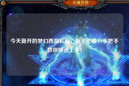 今天新開的夢幻西游私服，新手必看！手把手教你快速上手！