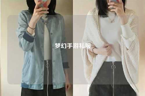 夢幻手游私服